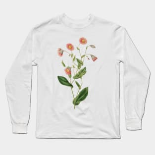 Delicate pink botanical Long Sleeve T-Shirt